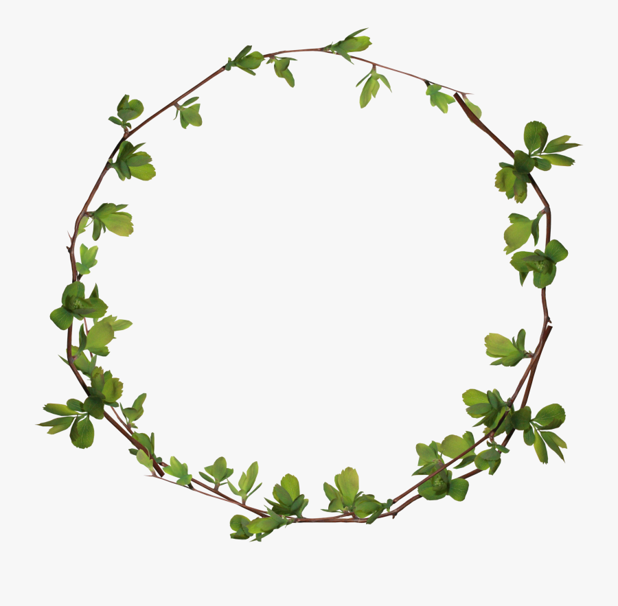 Transparent Ivy Clipart - Transparent Background Plant Circle Png, Transparent Clipart