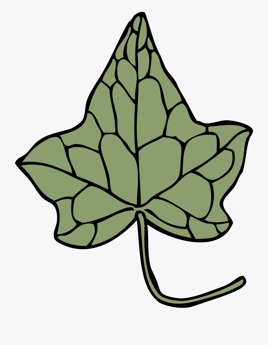 Ivy Leaf 5 - Ivy Leaf Clip Art, Transparent Clipart