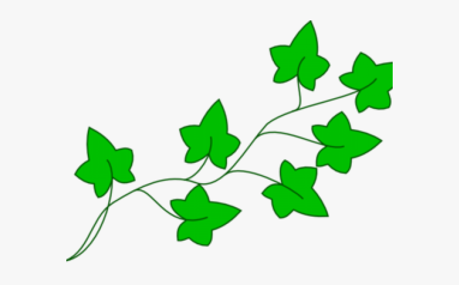Transparent Pumpkin Vines Clipart - Poison Ivy Plant Cartoon, Transparent Clipart
