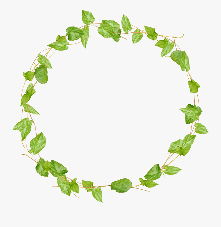 Ivy Border Png -ivy Clipart Watercolor - Leaves Circle Frame Png, Transparent Clipart