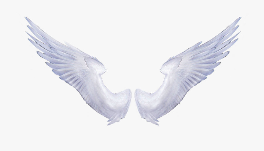 Angel Wings Transparent Background - Transparent Background Angel Wings Png, Transparent Clipart