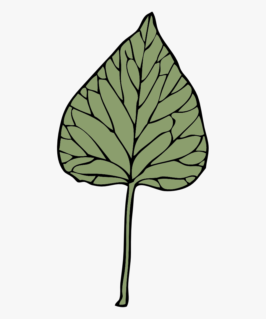 Ivy Leaf 6 - Clip Art, Transparent Clipart