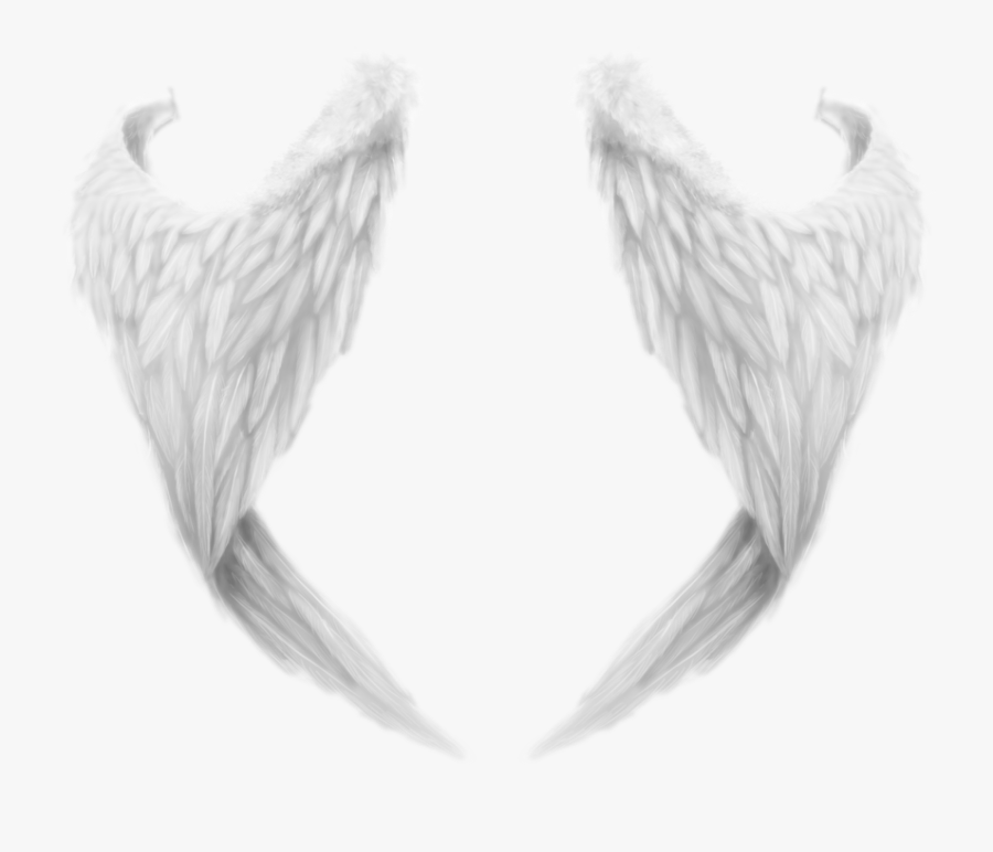 Angel Wings Png - Angel Wings From Behind, Transparent Clipart
