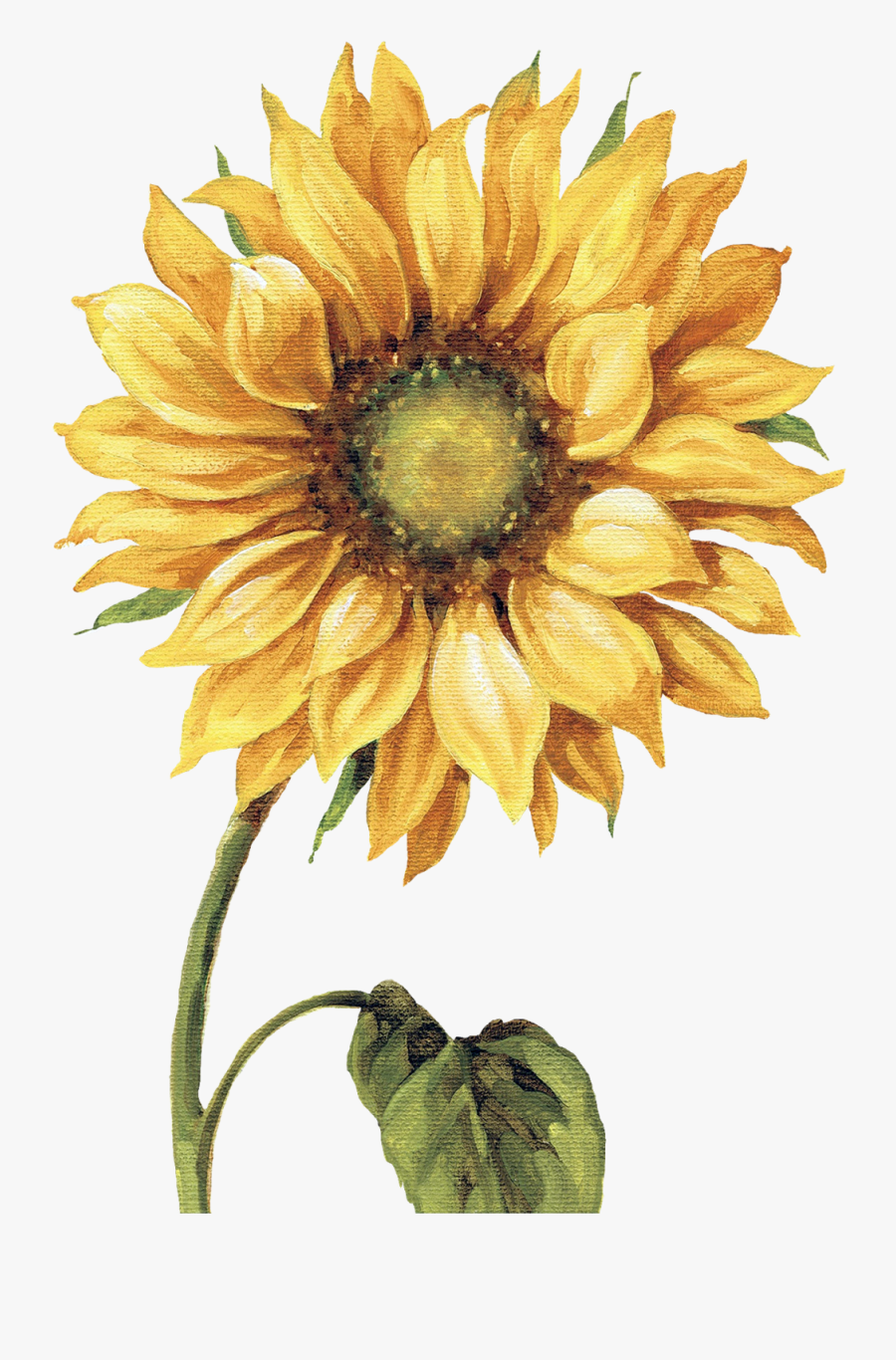 Sunflower Clipart Kitchen - Sunflower Art, Transparent Clipart