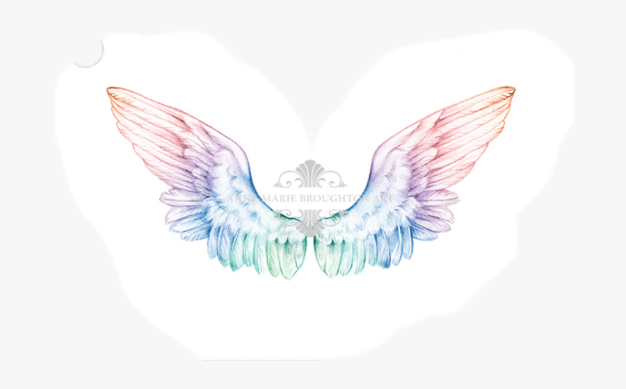 Angel Wings Pencil Drawing - Angel Wings Colour, Transparent Clipart