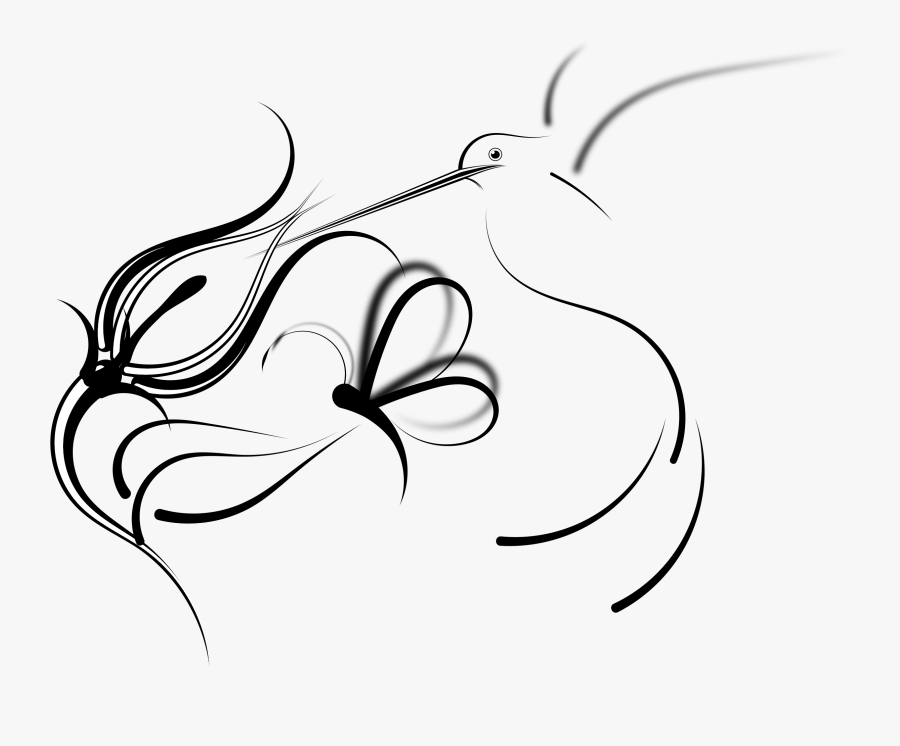 Hummingbird Flower Drawing - Hummingbird Flower Line Drawing, Transparent Clipart
