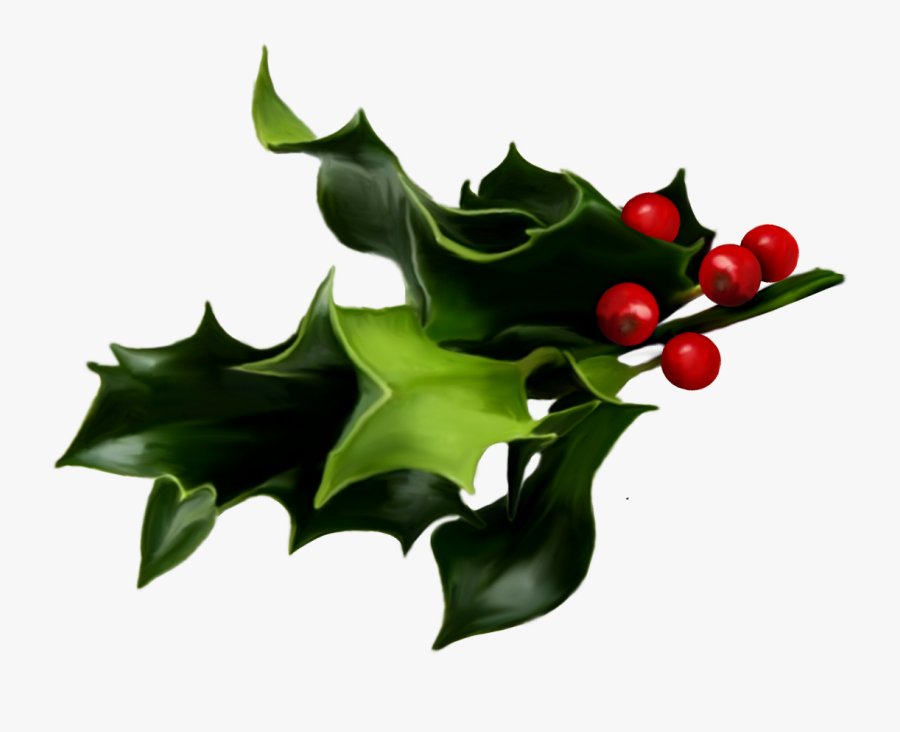 Mistletoe Clipart Holly And Ivy - Christmas Mistletoe, Transparent Clipart