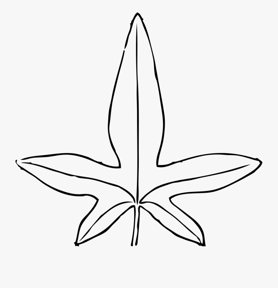 Ivy Leaf 1 Clipart, Vector Clip Art Online, Royalty - Tropical Rainforest Leaves Template, Transparent Clipart
