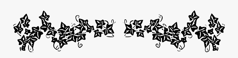 Photography - Ivy Black And White Clipart , Free Transparent Clipart