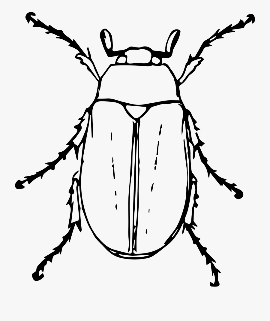 Clip Art June Bug Clipart - Black And White Beetle Clipart , Free