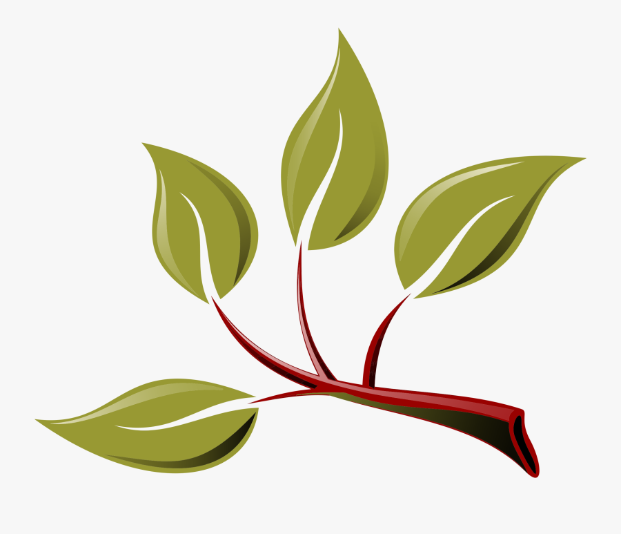 Branch Png Transparent Free - Branch With Leaves Clipart, Transparent Clipart