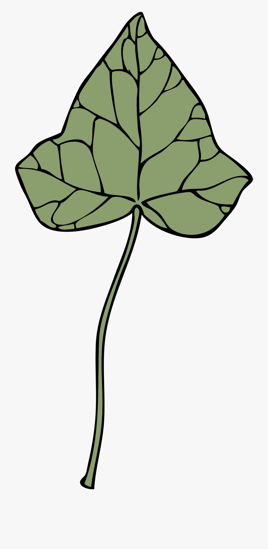 Ivy Leaf - Clip Art, Transparent Clipart