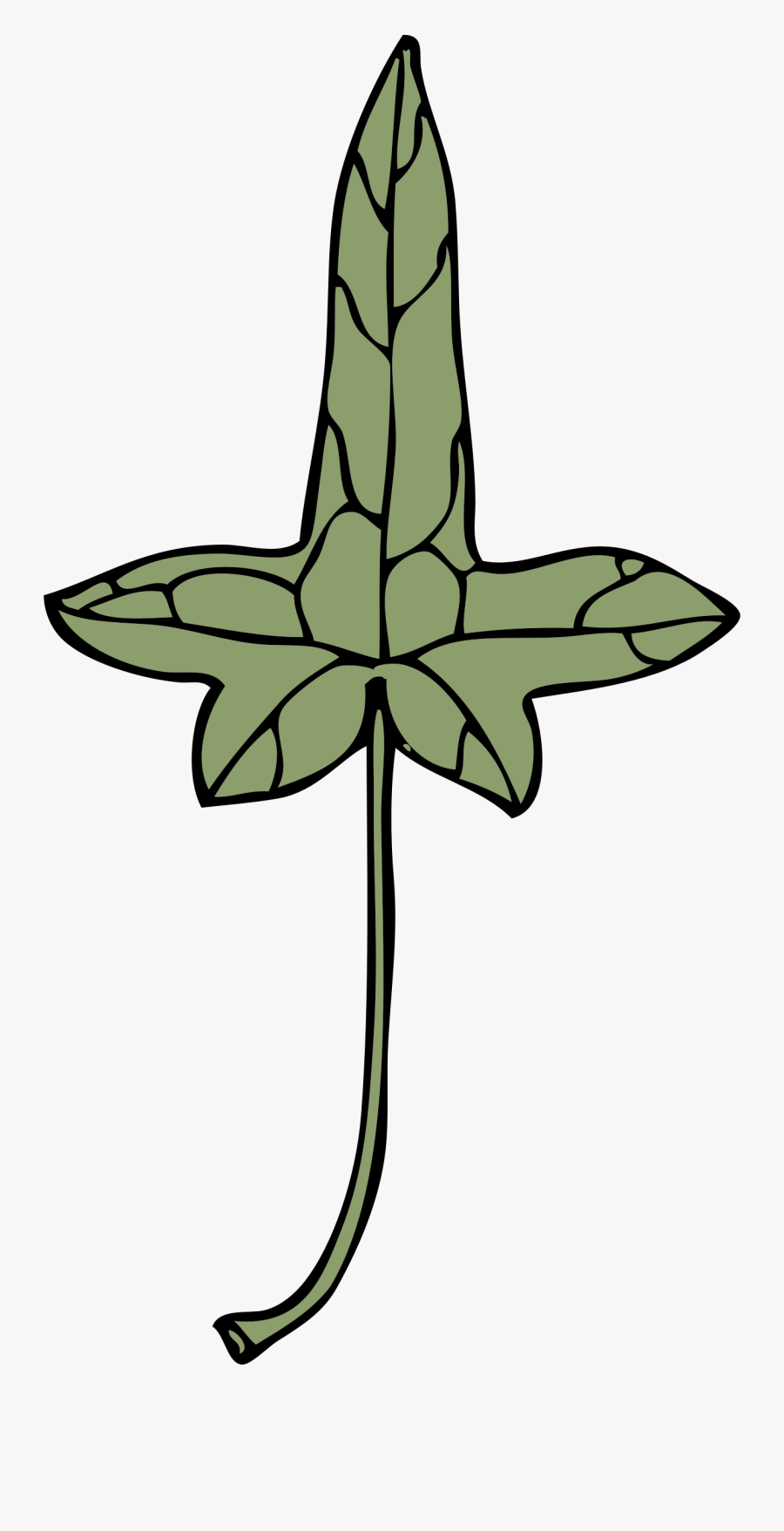 Ivy Leaf 9 - Clip Art, Transparent Clipart
