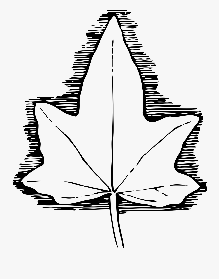 Ivy Clipart Png File Tag List, Ivy Clip Arts Svg File - Ivy Leaf Template, Transparent Clipart