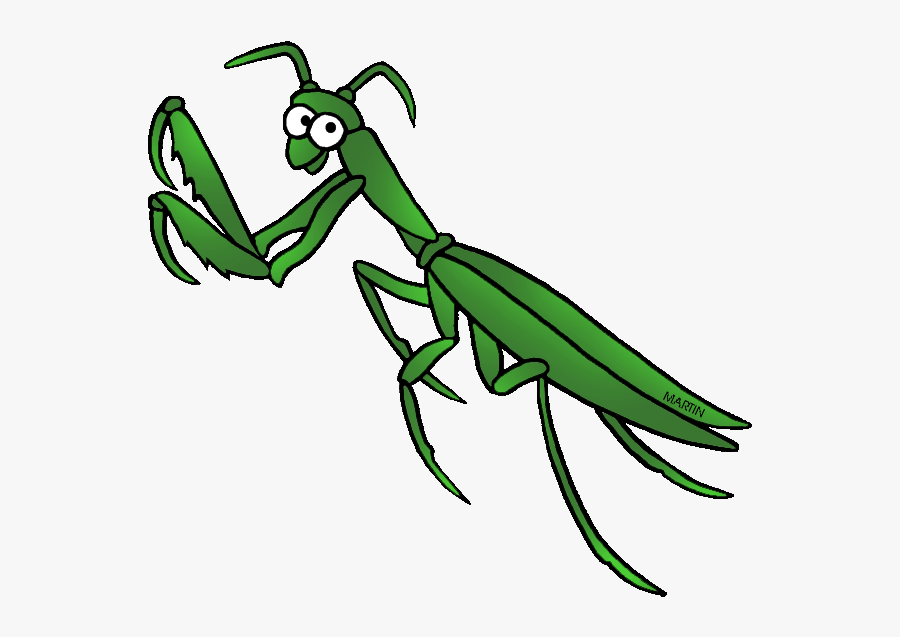 Clip Art Animations United - Praying Mantis Clipart, Transparent Clipart