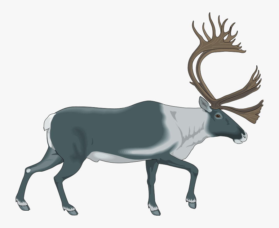 Clipart Caribou, Transparent Clipart