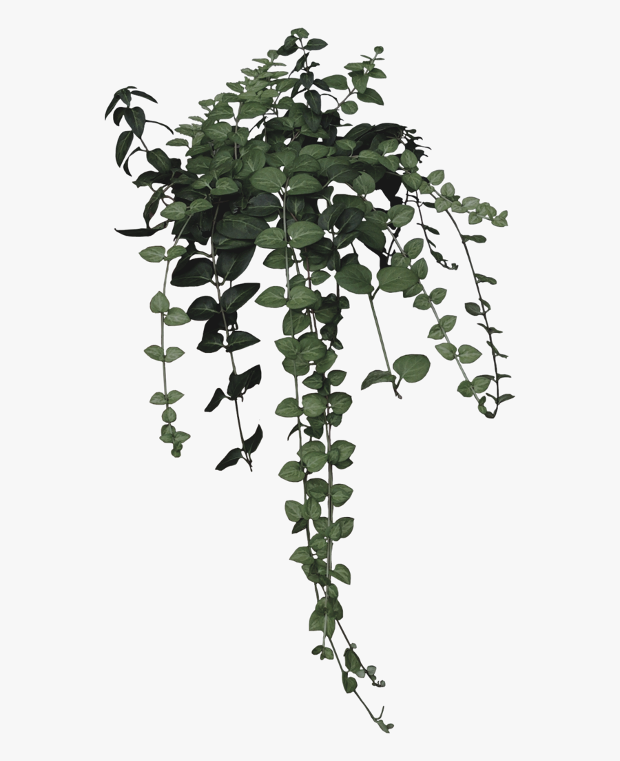 Virgil Abloh On His - Green Flowers Aesthetic Png, Transparent Clipart