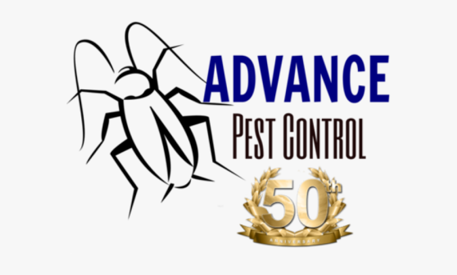 Bugs Clipart Tick, Transparent Clipart