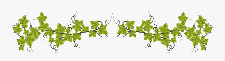 Plant,flora,leaf - Leave Frame, Transparent Clipart