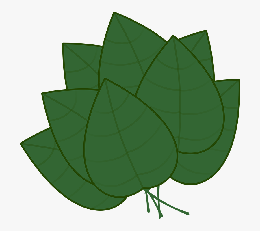 Art,tree,flower,ivy - Yaprak Animasyon, Transparent Clipart