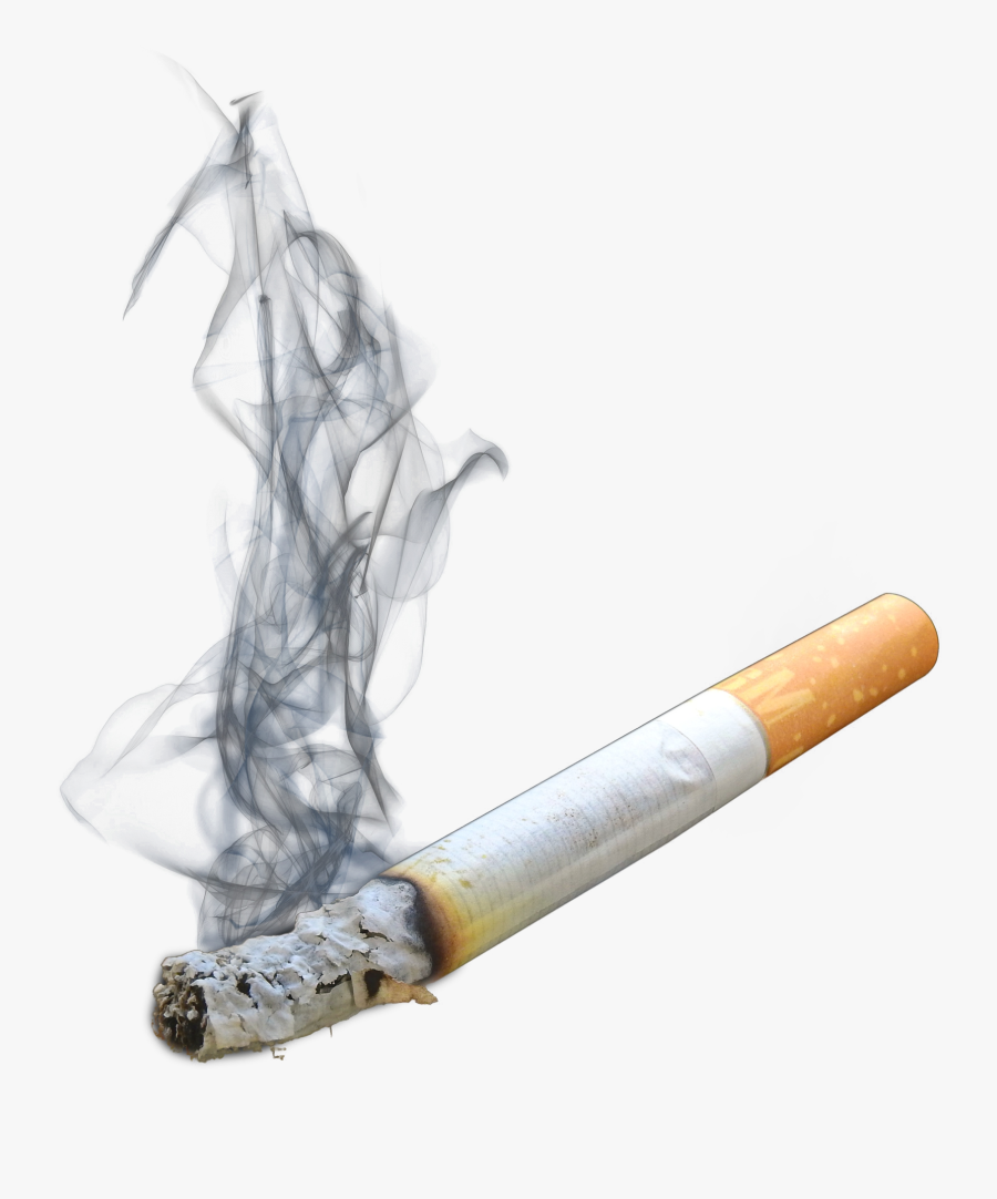 Smoking-cessation - Cigarette Transparent Background, Transparent Clipart