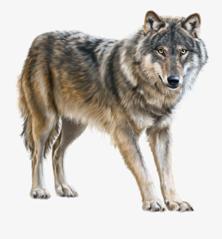 Transparent Running Wolf Clipart - Transparent Background Wolf Png, Transparent Clipart