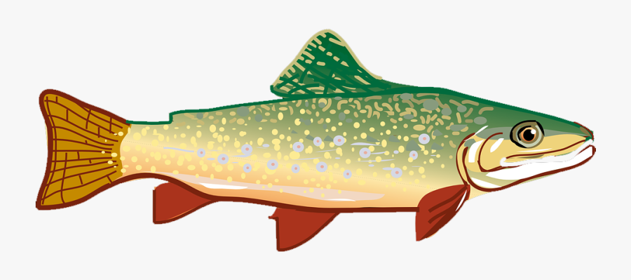 Rainbow Trout Clip Art - Trout Clipart, Transparent Clipart
