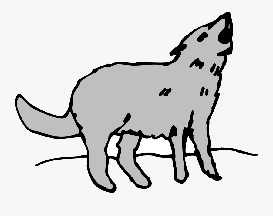 Gray Animal Coyote Howling - Howling Coyote Clipart Transparent, Transparent Clipart