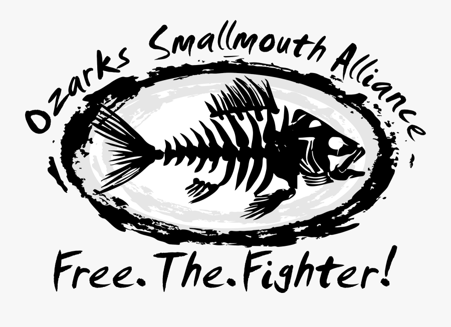The Ozarks Smallmouth Alliance - Illustration, Transparent Clipart