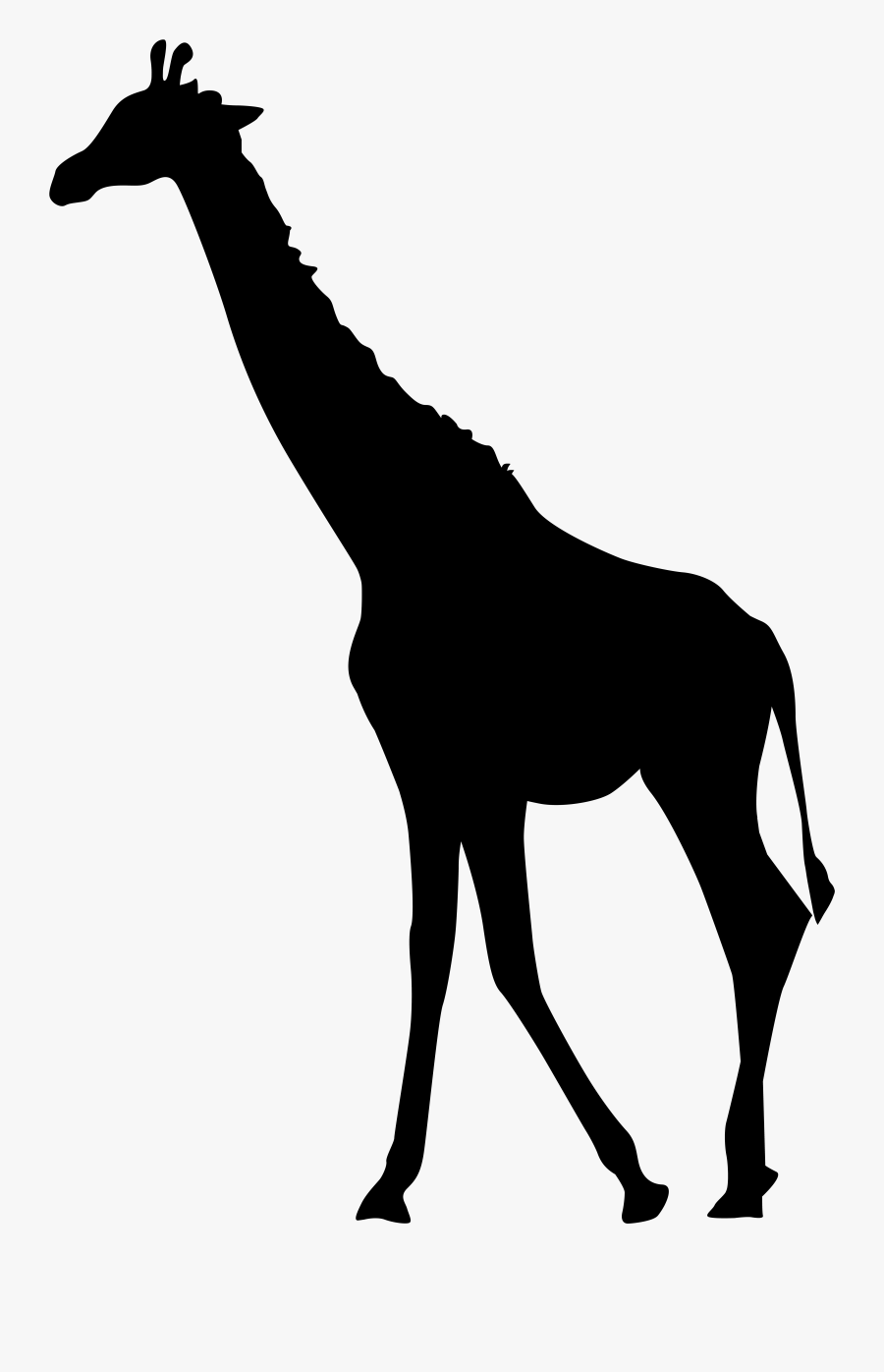 17 Best Photos Of Tuxedo Jacket Clip Art - Giraffe Silhouette No Background, Transparent Clipart