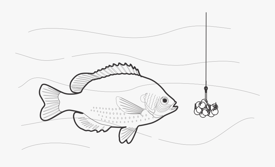Chummed Clipart Trout - Bait Black And White, Transparent Clipart