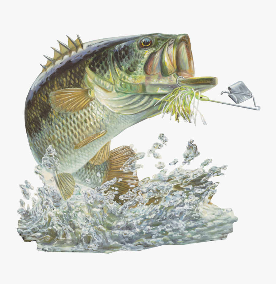 Bass Fishing Sticker Buzzbait - Largemouth Bass Fish, Transparent Clipart