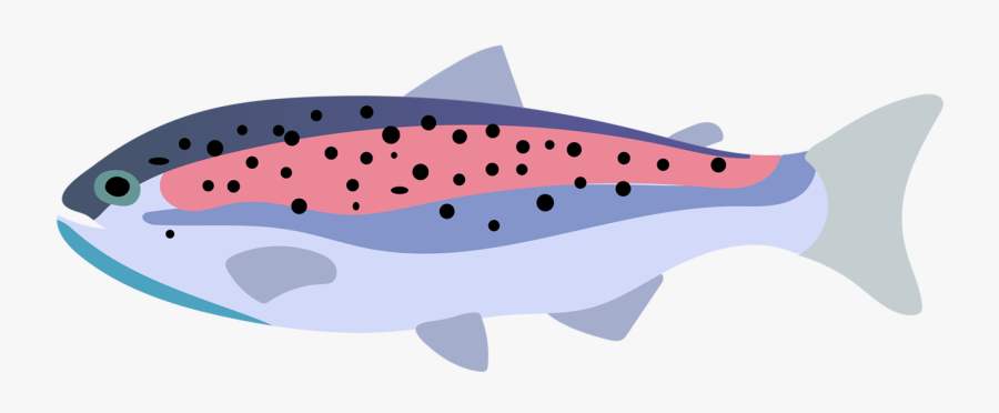 Library Trout Vector Brown - Rainbow Trout, Transparent Clipart