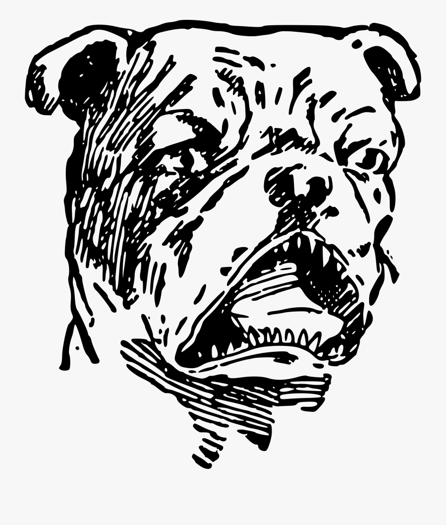 Bulldog Big Image Png - Angry Bulldog Png, Transparent Clipart