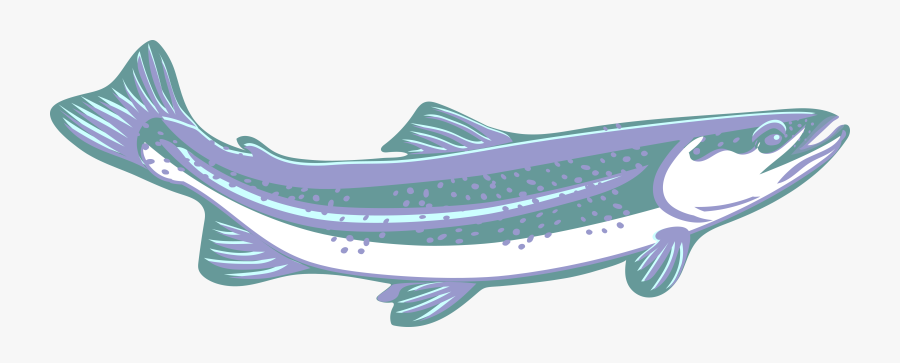 Trout Clipart Speckled Trout - Transparent Trout Clipart, Transparent Clipart