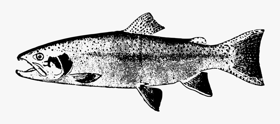 Monochrome Photography,fin,seafood - Portable Network Graphics, Transparent Clipart