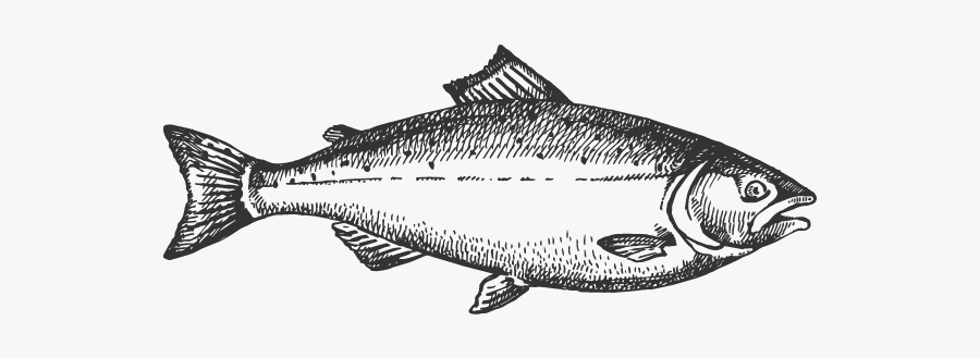 Market Virginia - Vector Hand Drawn Sketch Seafood Vector Black, Transparent Clipart