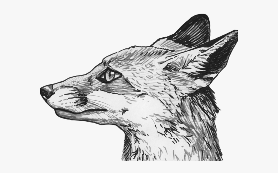 Fox Inn Broadwell, Transparent Clipart