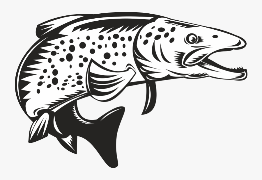Brook Trout Sea Trout Clip Art - Spotted Fish Outline, Transparent Clipart