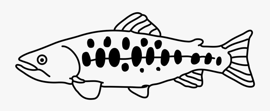 Download Clip Art Library Stock Trout Svg File Oncorhynchus Masou Formosanus Free Transparent Clipart Clipartkey
