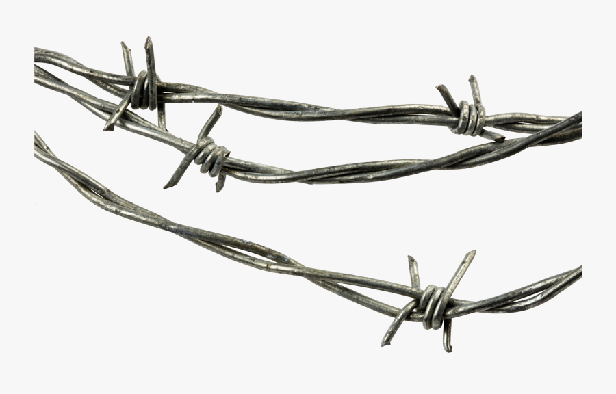 Barbed Wire - Transparent Background Barbed Wire Png, Transparent Clipart