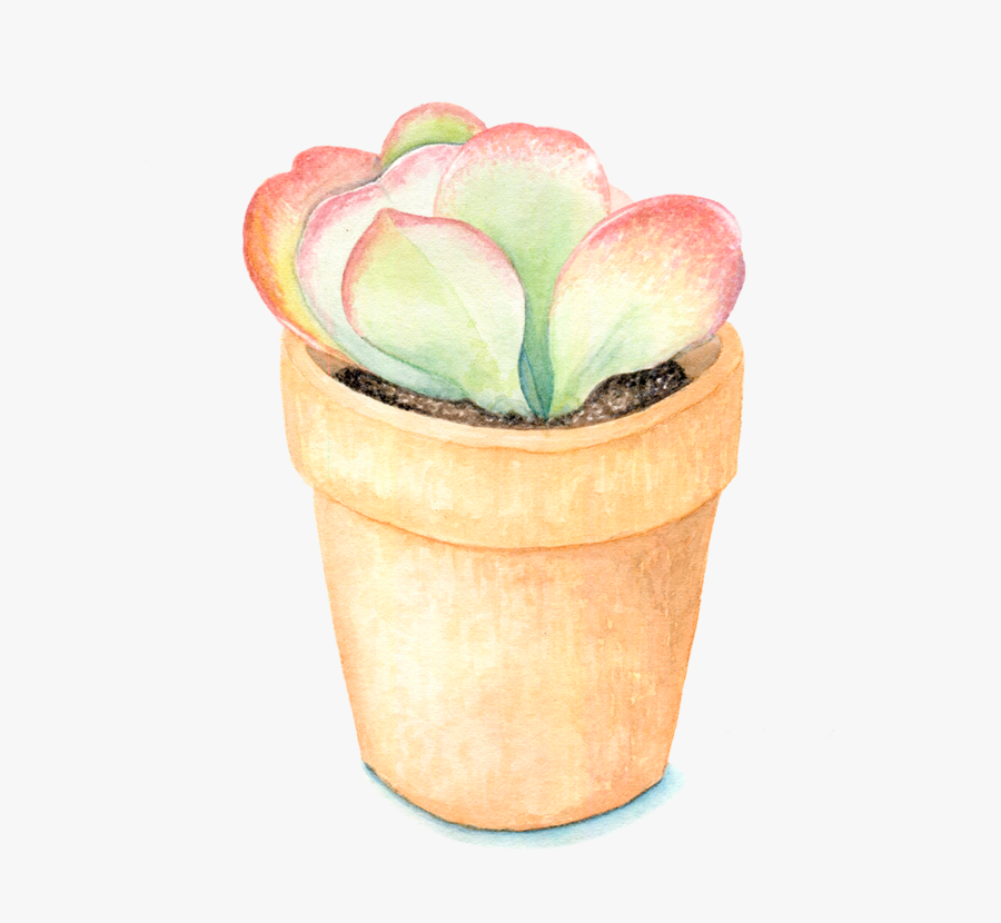 Flowerpot, Transparent Clipart