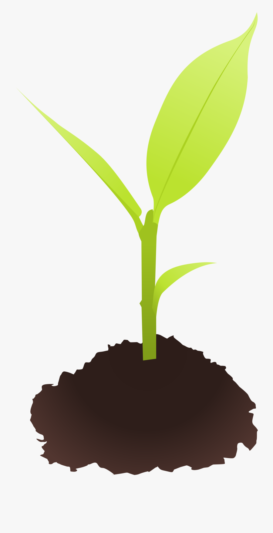 Clip Art Royalty Free Download Plant - Small Plant Clip Art, Transparent Clipart
