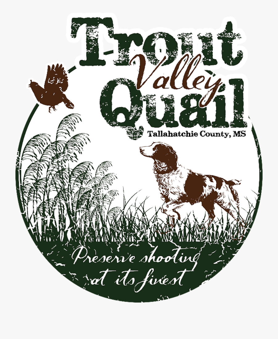 Trout Valley Quail - Quail Hunting Clipart, Transparent Clipart