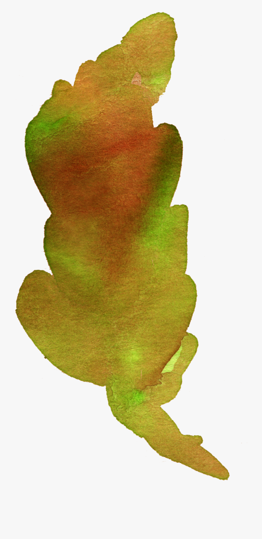 Gambel Oak, Transparent Clipart