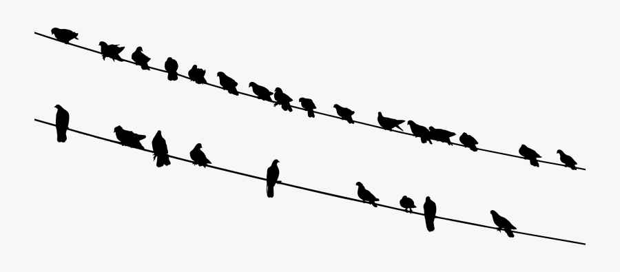 Clipart - Silhouette Birds On Wire, Transparent Clipart