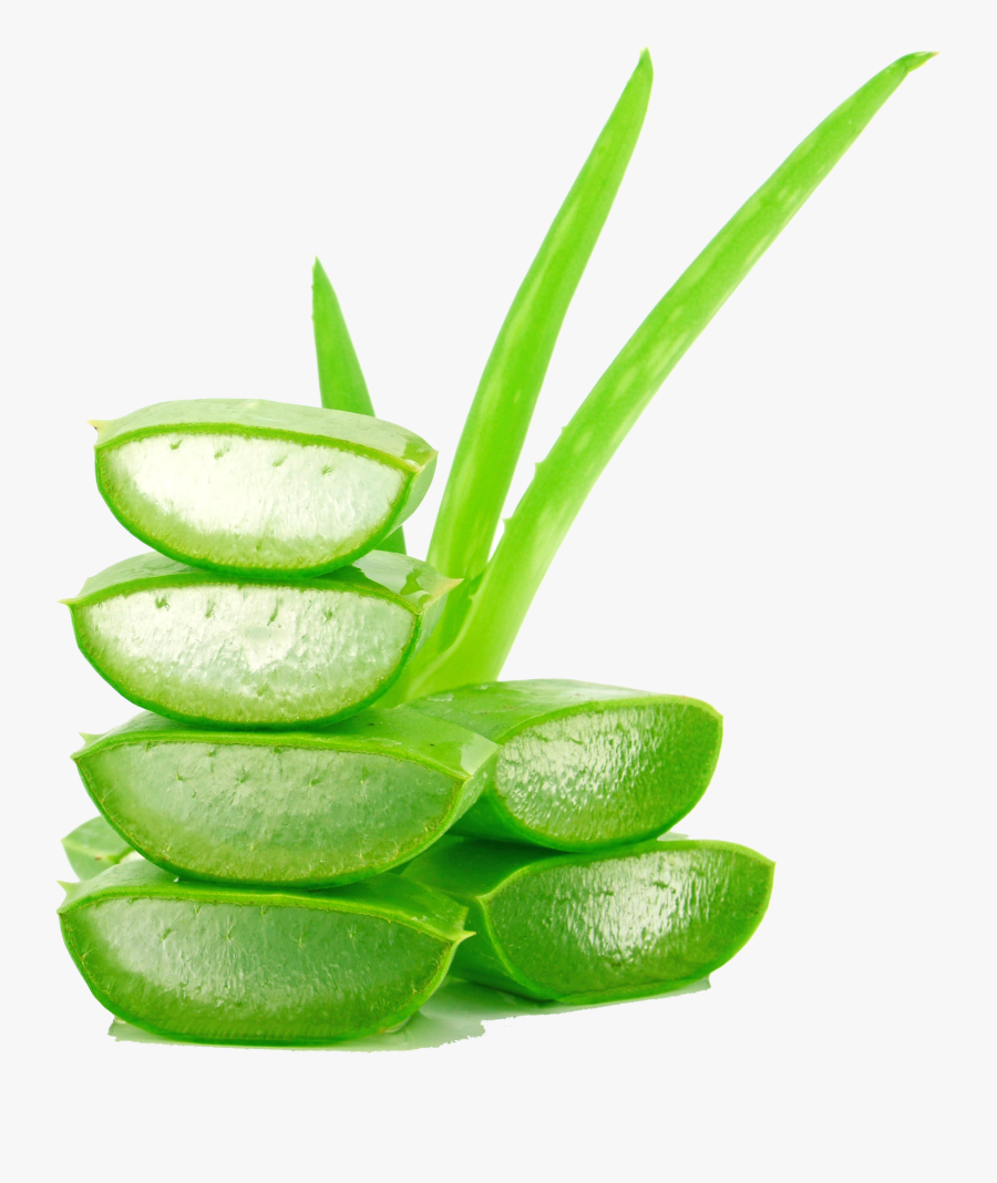 Aloe Photography Lotion Vera Juice Cream Creative Clipart - Aloe Vera Transparent Background, Transparent Clipart
