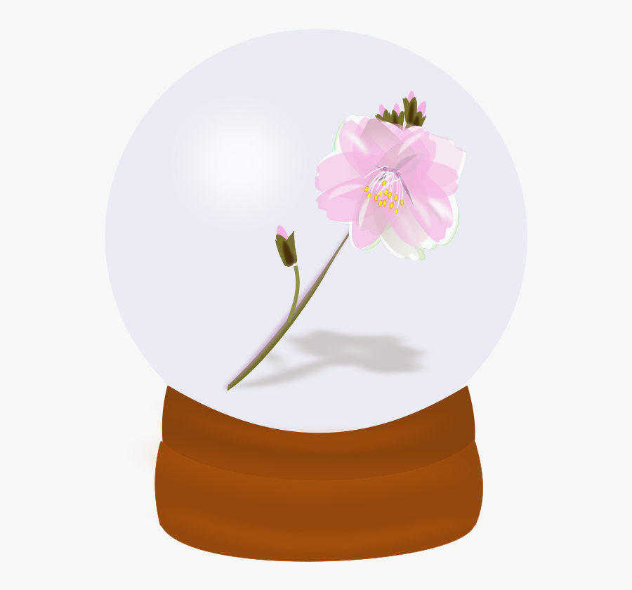 Free Vector Flower Globe - Glass, Transparent Clipart