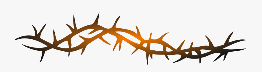 Wire, Barbed, Refugio, Keep Out, Danger - Thorns Clipart, Transparent Clipart