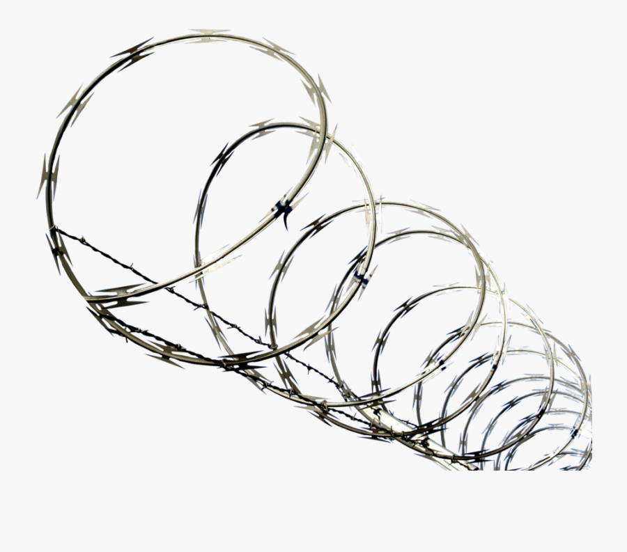 Vector Clipart, Barbed Wire, Google Search, Image, - Razor Wire Fence Png, Transparent Clipart